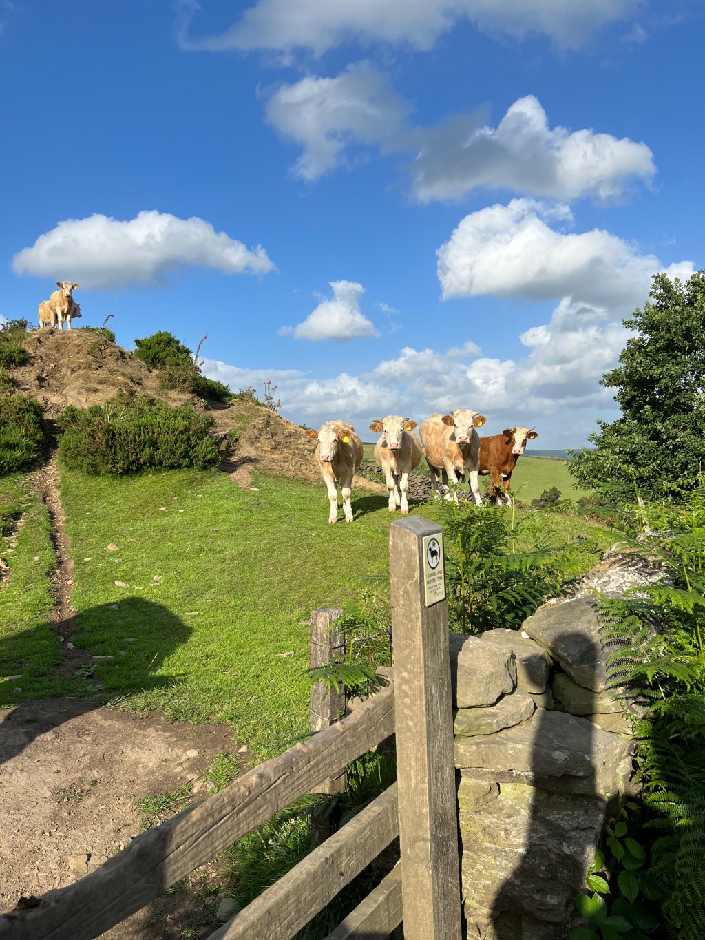 UK  – Chinley&nbsp;Life