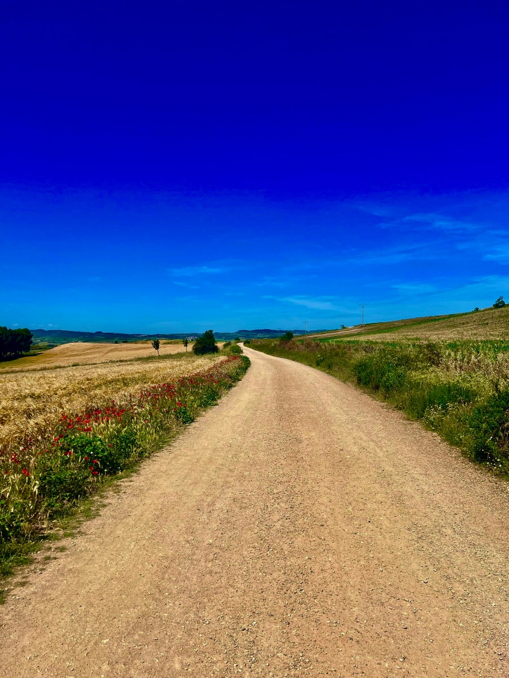 LC’s Travel Escapades 