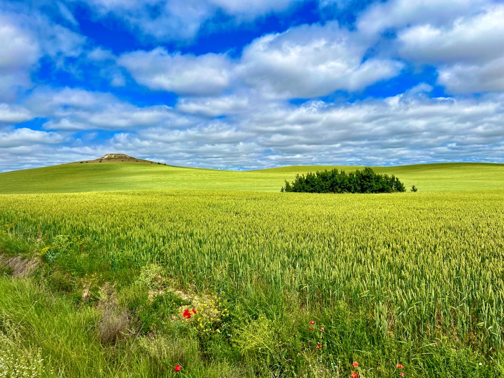 Escapade 2025 – Via&nbsp;Francigena