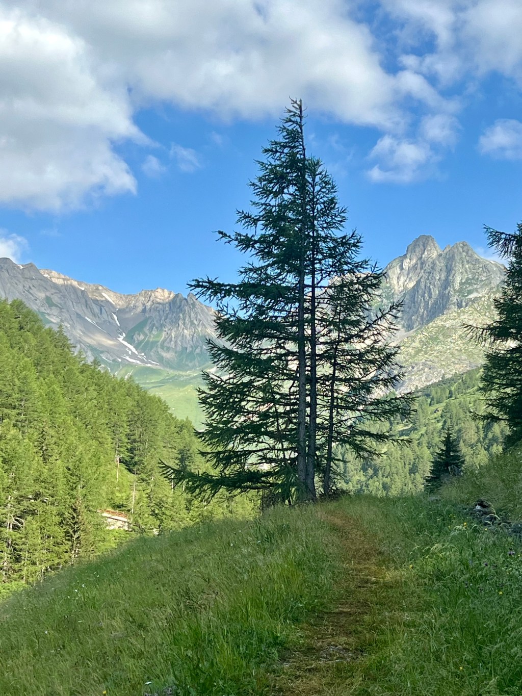 Day 36 SW Great St. Bernard Pass to&nbsp;Aosta